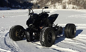 bull 1