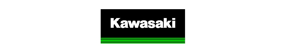 Kawasaki Kawasaki