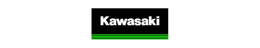 Kawasaki Kawasaki