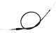 Anterior