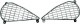Anterior