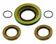 Anterior