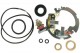 Anterior