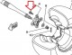 Anterior