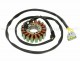 Anterior