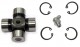 Anterior