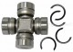Anterior