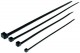 Anterior