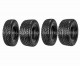 Anterior