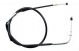 Anterior