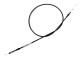 Anterior