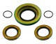 Anterior