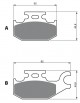 Anterior