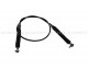 Anterior