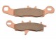 Anterior