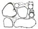 Anterior