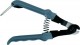 Anterior