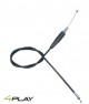 Anterior