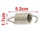 Anterior
