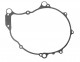 Anterior