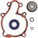 Anterior