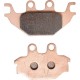 Anterior