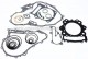 Anterior