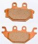 Anterior