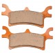 Anterior