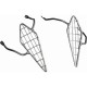 Anterior