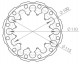 Anterior