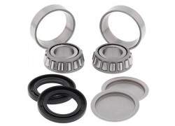 Kit rodamientos basculante Honda TRX500 FPA Rubicon 09-14, TRX500 FPE Foreman 07-11, TRX500 FPM Foreman 08-11, TRX500 TM Foreman 05-06