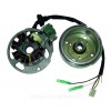 Volante magnético E-Ton 50 99-02, Polaris 50 Predator 04-06, 50 Scrambler 01-03
