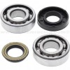 Kit Rodamientos y retenes cigüeñal Polaris 50 Predator 04-07, 90 Predator 03-06, 50 Scrambler 01-03, 90 Scrambler 01-03, 90 Sportsman 01-06