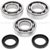 Kit Rodamientos y retenes cigüeñal Polaris 250 Trail-Boss 4x4 1995, 300 2x4 94-95, 300 4x4 94-95, 300 Big Boss 6x6 1994, 300 Xplorer 4x4 96-99, 300 Xpress 96-99
