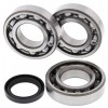 Kit Rodamientos y retenes cigüeñal Polaris 400 Sportsman 4x4 2003, 500 ATP 4x4 2004, 500 Scrambler 2x4 00-02, 500 Scrambler 4x4 00-03, 500 Sportsman 4x4 DUSE 2002