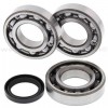 Kit Rodamientos y retenes cigüeñal Polaris 500 Sportsman 4x4 HO 01-03, 500 Sportsman 4x4 RSE 01-02, 500 Sportsman 6x6 2003, 500 Worker 4x4 01-02