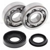 Kit Rodamientos y retenes cigüeñal Polaris 90 Sportsman 07-10
