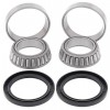 Kit rodamientos Eje trasero Polaris 250 Trail Blazer 99-06, 250 Xplorer 4X4 00-02, 325 Trail Boss 00-02, 330 Trail Blazer 08-13, 330 Trail Boss 03-13, 380 Scrambler 2x4 2000, 400 Scrambler 2x4 00-02