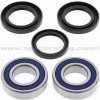 Kit rodamientos Eje trasero Suzuki LT80 87-06, LT-Z90 07-17