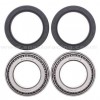 Kit rodamientos Eje trasero BRP DS650 00-05, DS650 X 01-06