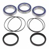 Kit rodamientos y toricas Eje trasero Honda TRX450 R 04-09, TRX450 ER 06-14