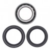 Kit rodamientos rueda trasera Honda TRX650 Rincon 03-05, TRX680 Rincon 06-15
