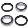 Kit rodamientos Eje trasero Arctic Cat DVX250 06-08, DVX300 09-15