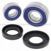 Kit rodamientos rueda delantera Polaris 200 Phoenix 06-18, 200 Sawtooth 06-07 