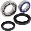 Kit rodamientos Eje trasero Yamaha YFM450 Wolverine 4x4 06-10