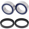 kit-rodamientos-buje-trasero-reforzado-no-original-suzuki-lt-z400-03-08
