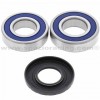 Kit rodamientos Eje trasero Polaris RZR170 09-18 