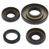 Kit retenes grupo diferencial delantero Honda TRX400 FW Fourtrax Foreman 4x4 02-03, TRX450 FE 02-04, TRX450 FM 02-04, TRX500 FA 01-04