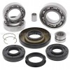 Kit reparación grupo diferencial delantero Honda TRX400 FW Fourtrax Foreman 4x4 02-03, TRX450 FE/FM 02-04, TRX500 FA 01-04, TRX500 FGA 2004